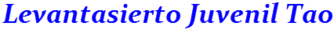 Magnificent Logo