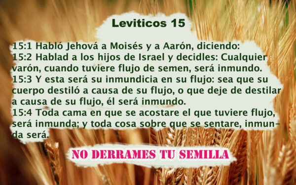 Arkangel Miguel Evento HARIVAKTI