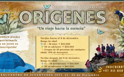 Encuentro de Juventudes Taoistas 2025, ORIGENES.